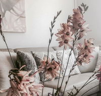 Bed of Roses - Accommodation 4U