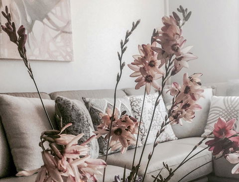 Bed Of Roses - Accommodation 4U 0