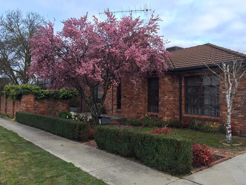 Bricks And Roses - Accommodation 4U 2