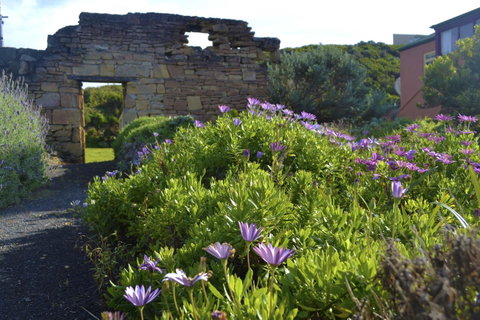 Cape Bridgewater Seaview Lodge - Accommodation 4U 5