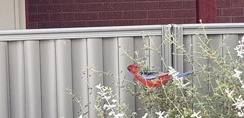 Torquay Timeout - Accommodation 4U 14