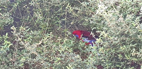 Torquay Timeout - Accommodation 4U 16