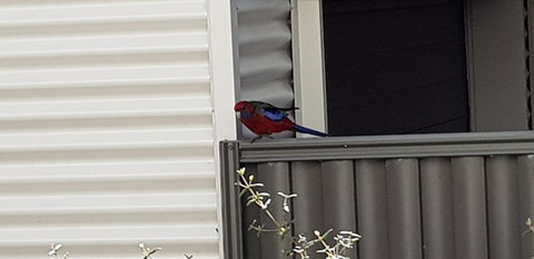 Torquay Timeout - Accommodation 4U 15