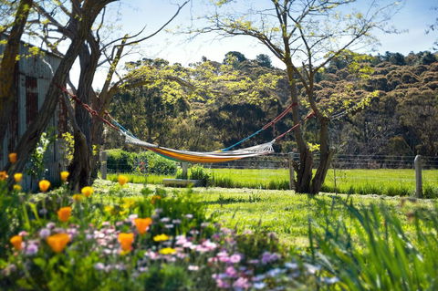 Cabrito - Accommodation 4U 3