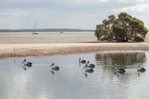 BIG4 Breeze Holiday Parks - Rainbow Beach - Accommodation 4U 32