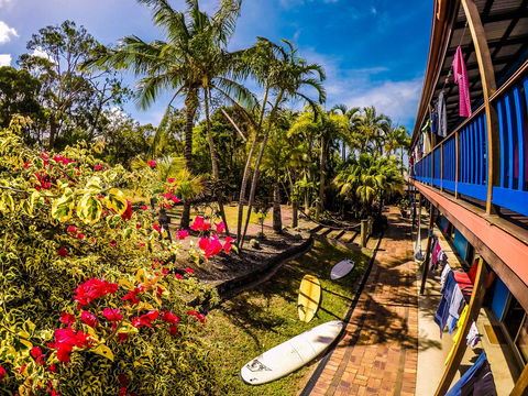 Cool Bananas Backpackers - Accommodation 4U 17