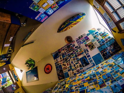 Cool Bananas Backpackers - Accommodation 4U 29