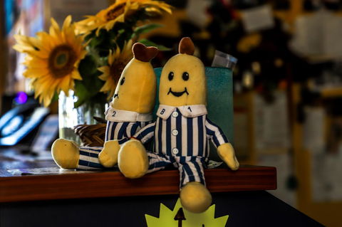 Cool Bananas Backpackers - Accommodation 4U 30