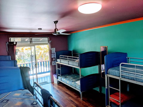 Cool Bananas Backpackers - Accommodation 4U 5
