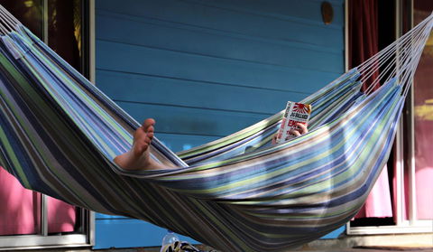 Cool Bananas Backpackers - Accommodation 4U 3