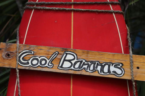 Cool Bananas Backpackers - Accommodation 4U 41