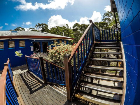 Cool Bananas Backpackers - Accommodation 4U 27