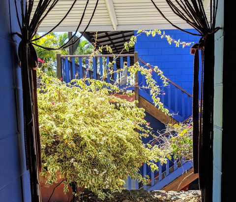 Cool Bananas Backpackers - Accommodation 4U 10