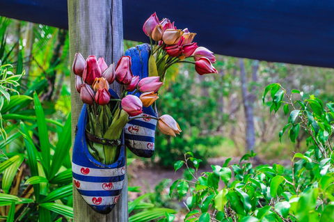 Cool Bananas Backpackers - Accommodation 4U 26