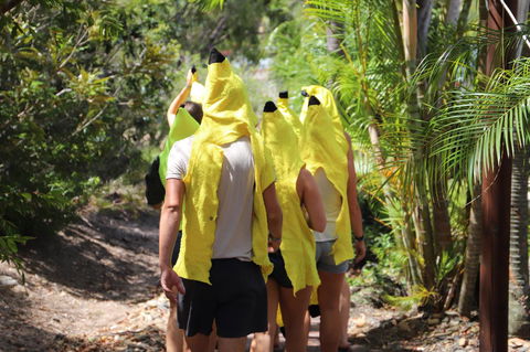 Cool Bananas Backpackers - Accommodation 4U 19