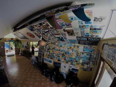 Cool Bananas Backpackers - Accommodation 4U 31