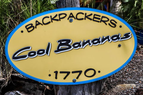 Cool Bananas Backpackers - Accommodation 4U 38