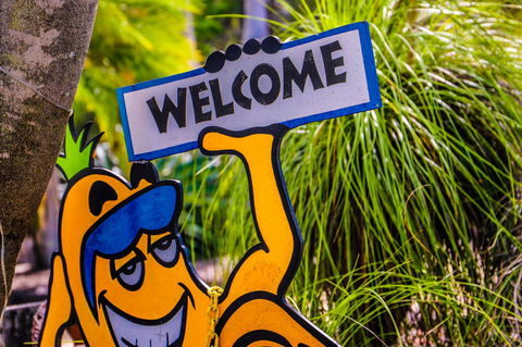 Cool Bananas Backpackers - Accommodation 4U 37