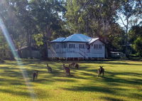 Book Peregian Beach Accommodation Vacations Accommodation 4U Accommodation 4U