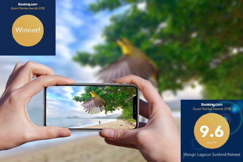Mango Lagoon Sunbird Retreat - Accommodation 4U 1