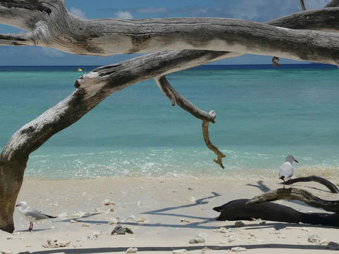 Beach Club Port Douglas Luxury Apartments - Accommodation 4U 23