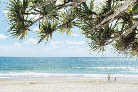 Netanya Noosa Beachfront Resort - Accommodation 4U 38