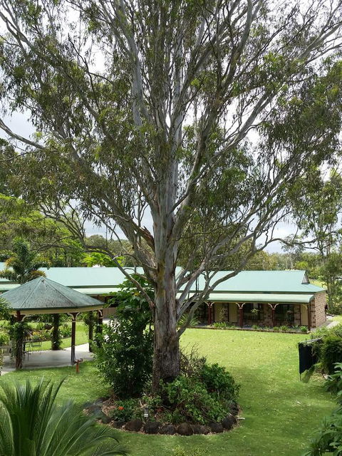 The Bearded Dragon Boutique Hotel - Accommodation 4U 32