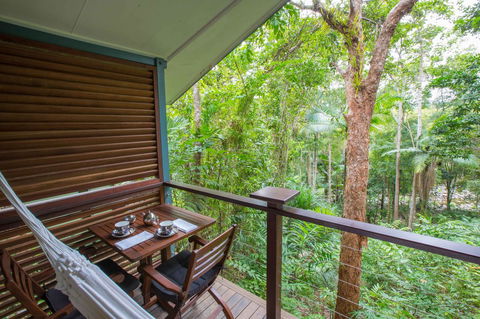 Silky Oaks Lodge - Accommodation 4U 12