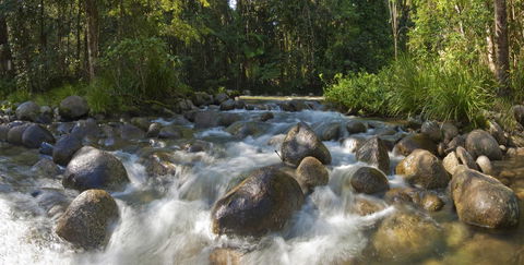 Silky Oaks Lodge - Accommodation 4U 20
