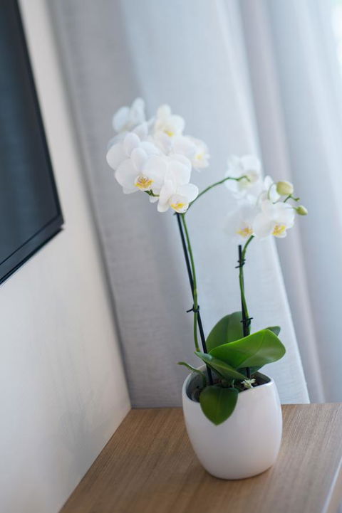 Heart Hotel And Gallery Whitsundays - Accommodation 4U 28