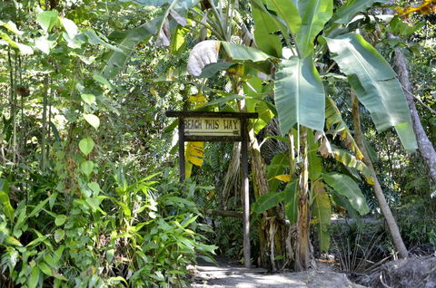 PK\'s Jungle Village - Accommodation 4U 23
