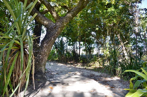 PK\'s Jungle Village - Accommodation 4U 28