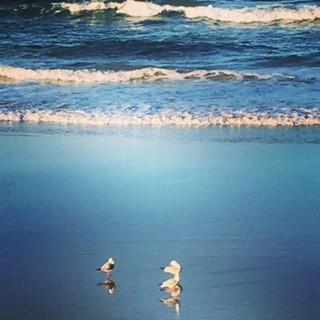 Oceania On Burleigh Beach - Accommodation 4U 40