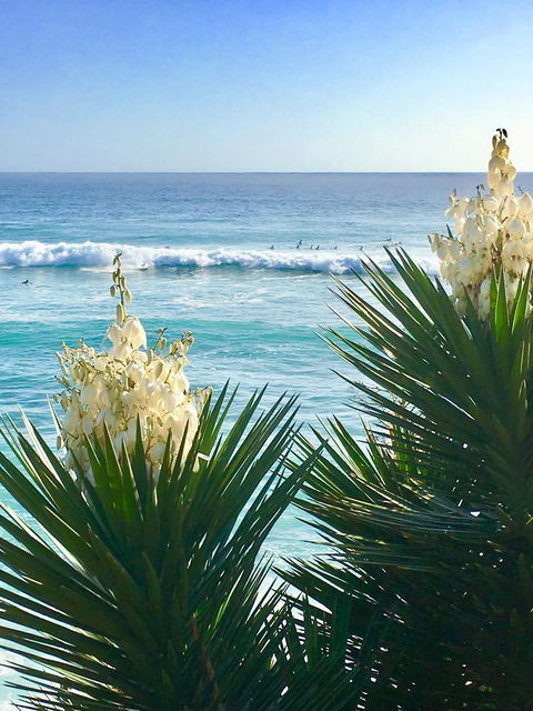 Oceania On Burleigh Beach - Accommodation 4U 21