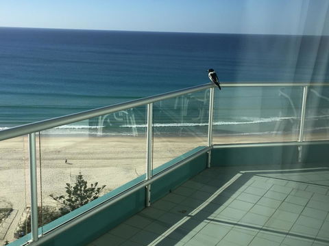 Ocean Plaza Resort - Accommodation 4U 28