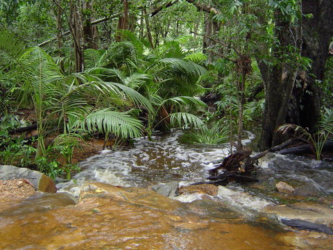 Forest Lodge: Little Villa - Accommodation 4U 17