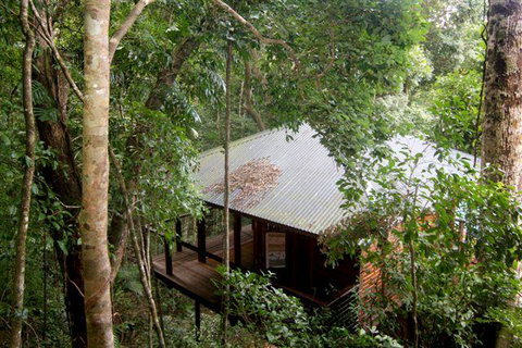 Cairns Rainforest Retreat - Accommodation 4U 0