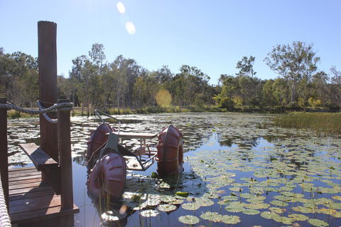 1770 Southern Cross Travellers Retreat - Accommodation 4U 21