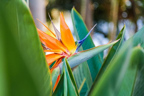 Oscar On Main Beach Resort - Accommodation 4U 25