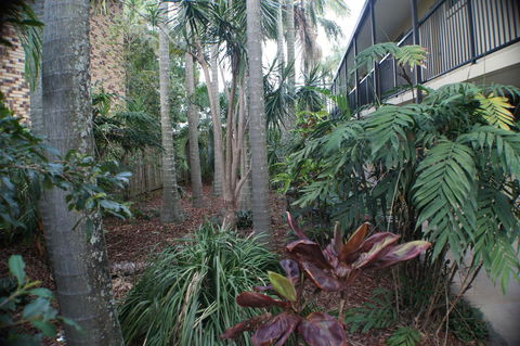 Best Western Airport 85 Motel - Accommodation 4U 34