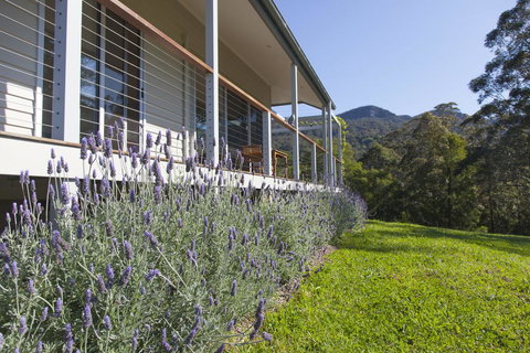 Wilderberry Cottage - Accommodation 4U 3