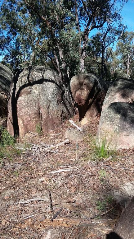 Windswept Country Retreat - Accommodation 4U 3