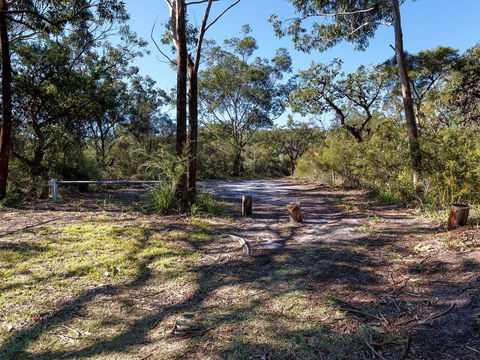 Wongaburra - Accommodation 4U 2