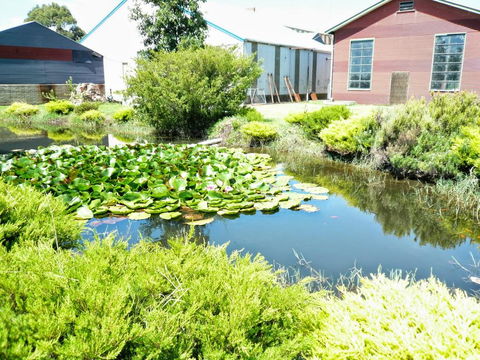 Yarragon Dairy Family Room - Accommodation 4U 1