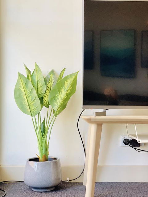 ZEN Homes On Collins - Accommodation 4U 3