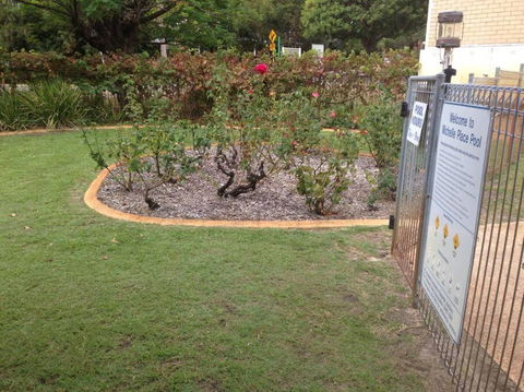Affordable Inglewood Apartment+Pool - Accommodation 4U 4