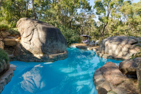 A Paradise For Dogs And A Magical Retreat For Hoomans - Accommodation 4U 0