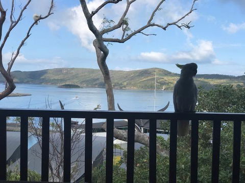 Casuarina Cove 18 - Accommodation 4U 9