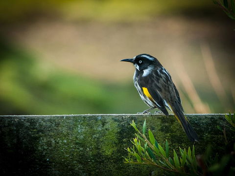 Parnella Adventure Bay, Bruny Island - Accommodation 4U 21