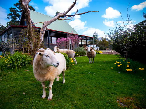 Parnella Adventure Bay, Bruny Island - Accommodation 4U 19